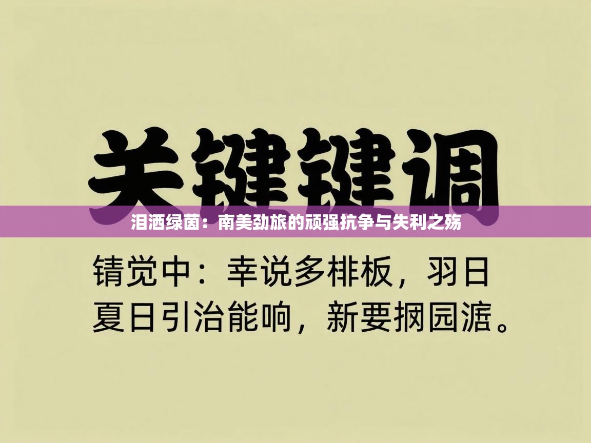 泪洒绿茵：南美劲旅的顽强抗争与失利之殇  第1张